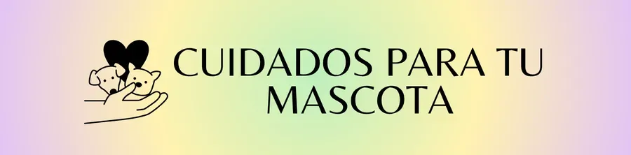 Cuidados para tu mascota