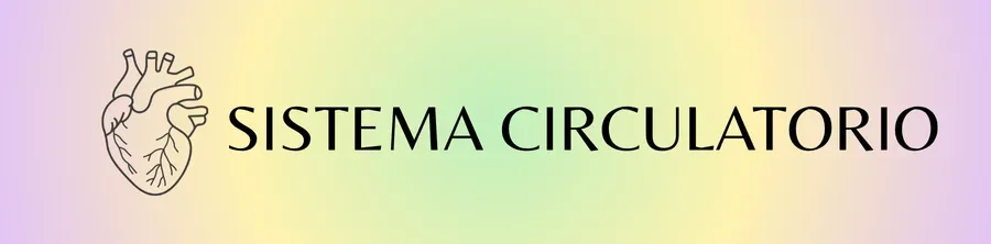 Sistema circulatorio