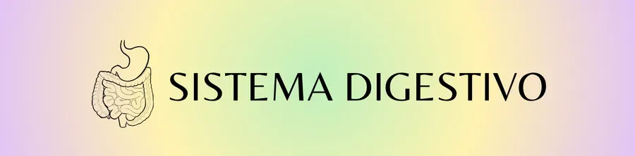 Sistema digestivo